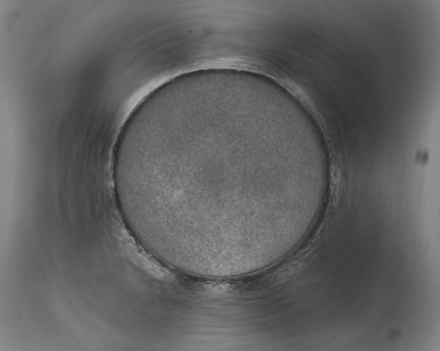X0000115071230200911171123