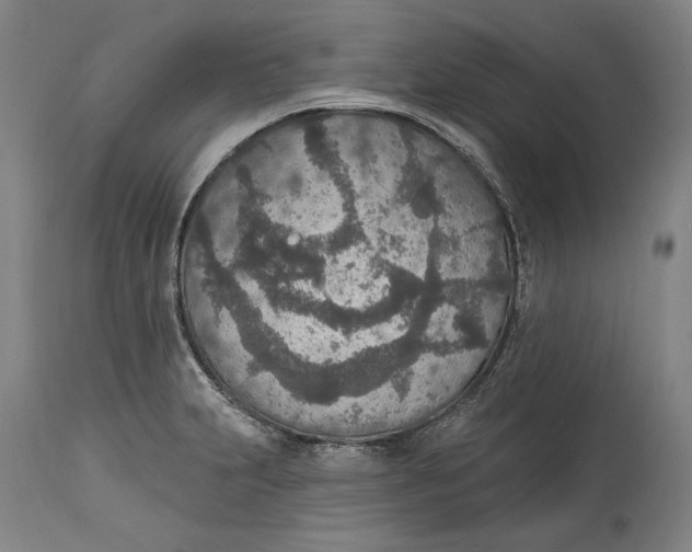 X0000115071231200911171123