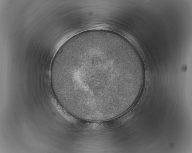 X0000115071234200911171123