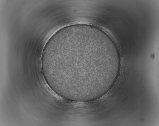 X0000115071236200911171123