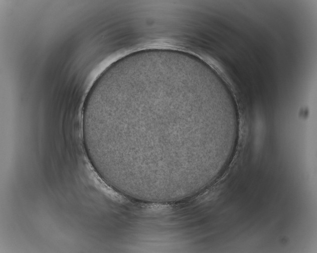 X0000115071238200911171123