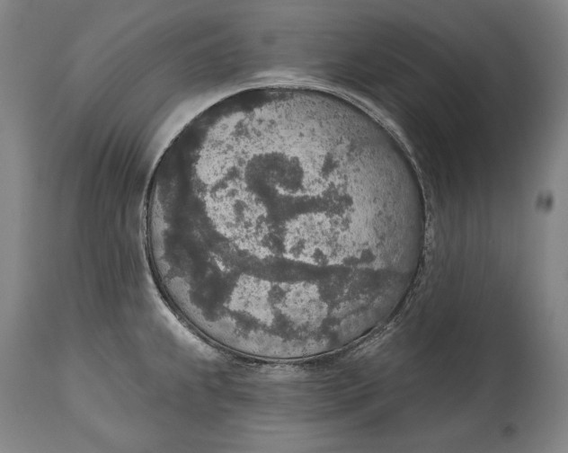 X0000115071239200911171123