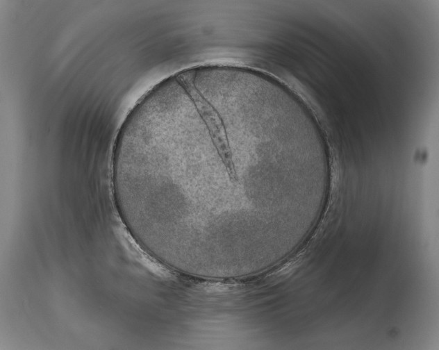 X0000115071240200911171123