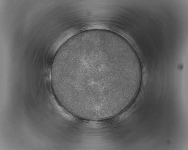 X0000115071241200911171123