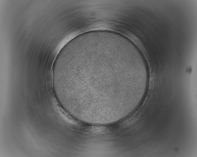 X0000115071242200911171123