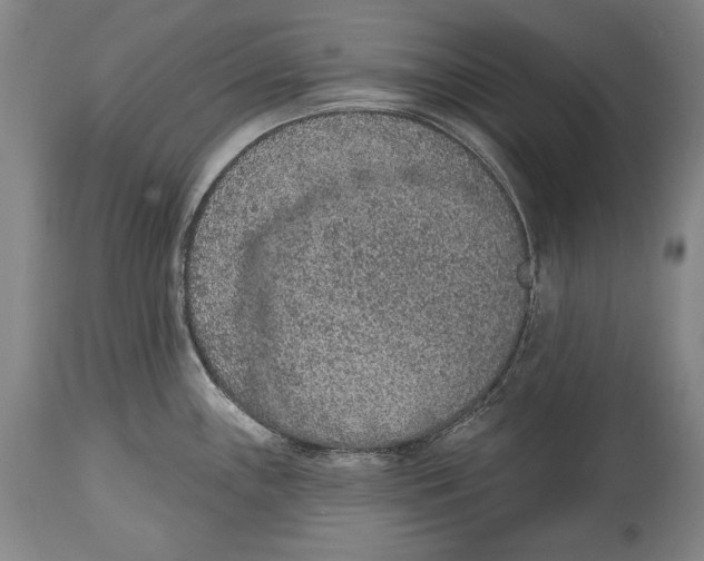 X0000115071243200911171123