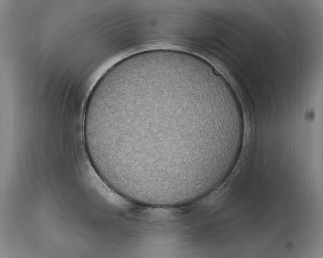 X0000115071246200911171123