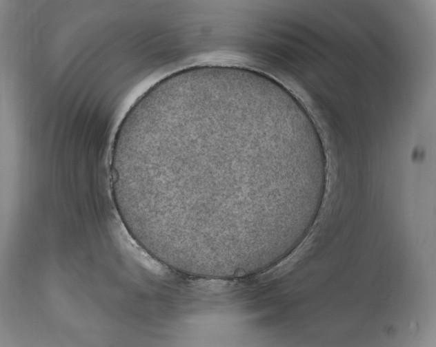 X0000115071248200911171123