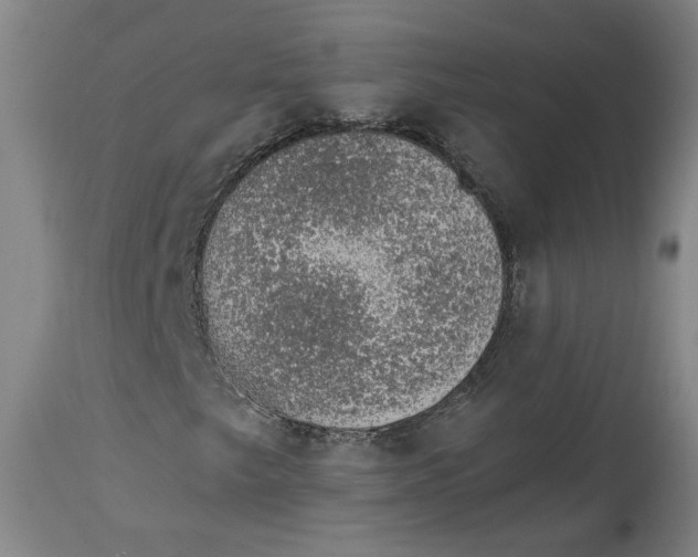 X0000115071249200911171122