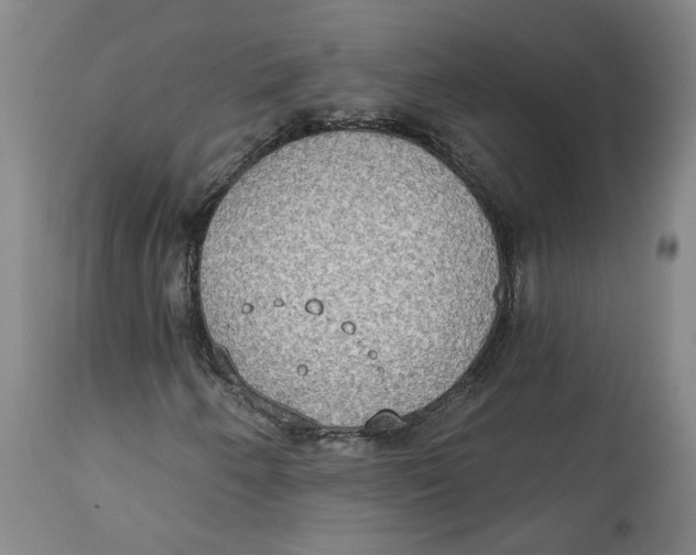 X0000115071250200911171122