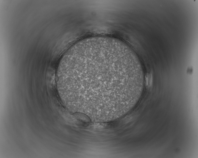 X0000115071251200911171122