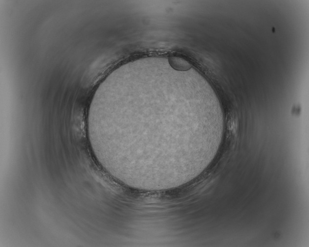 X0000115071252200911171122