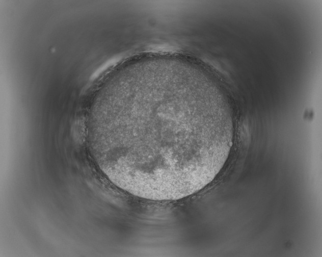X0000115071254200911171122