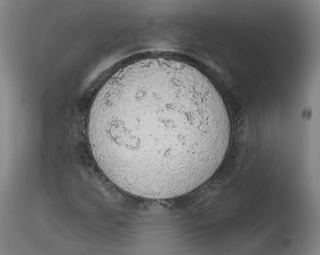 X0000115071255200911171122