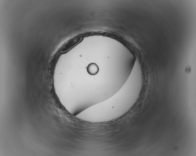 X0000115071256200911171122