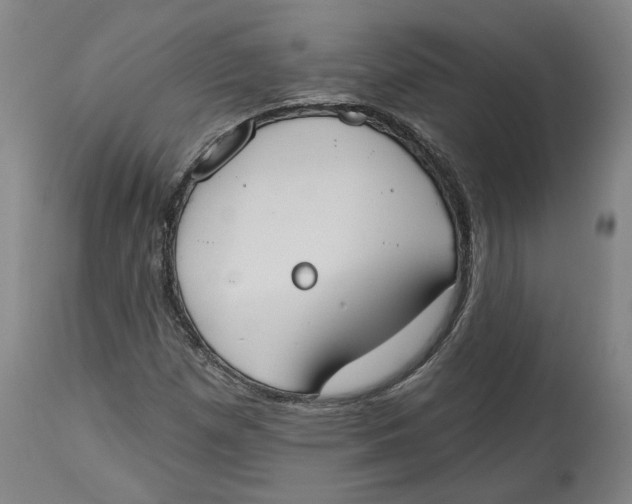 X0000115071257200911171122