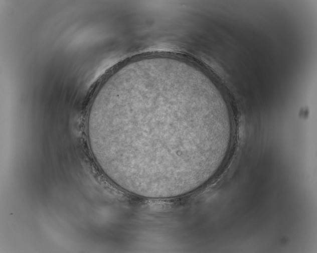 X0000115071258200911171122
