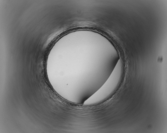 X0000115071261200911171122