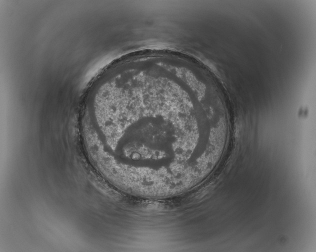 X0000115071263200911171122