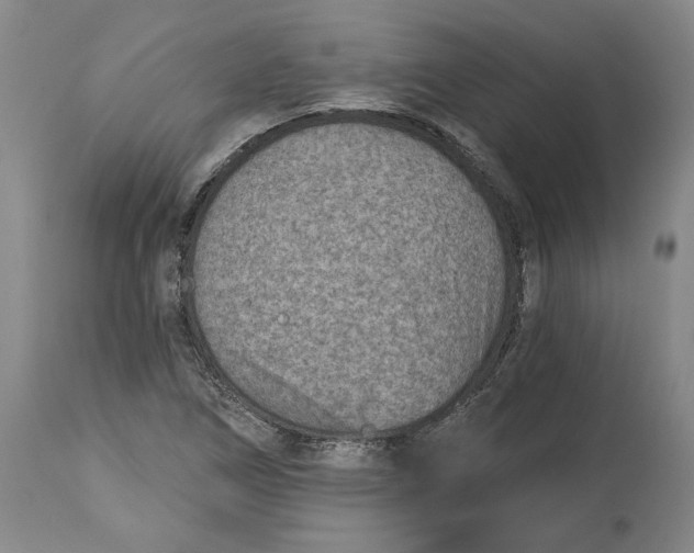 X0000115071266200911171122