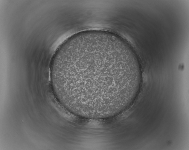 X0000115071267200911171122