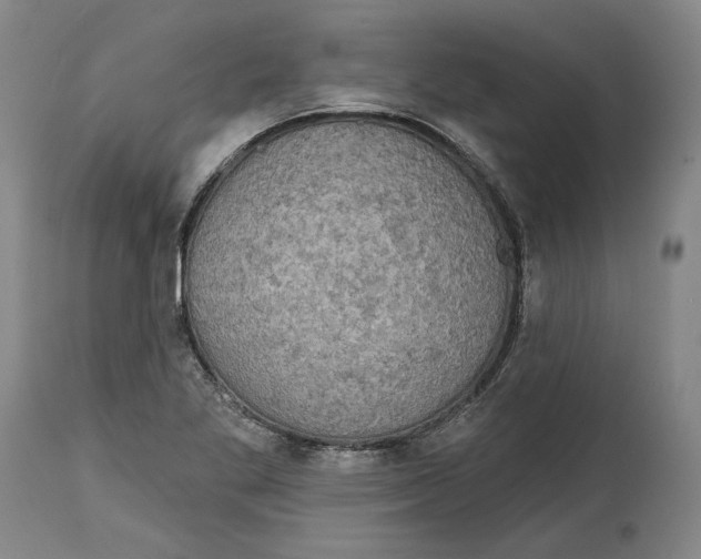 X0000115071269200911171122