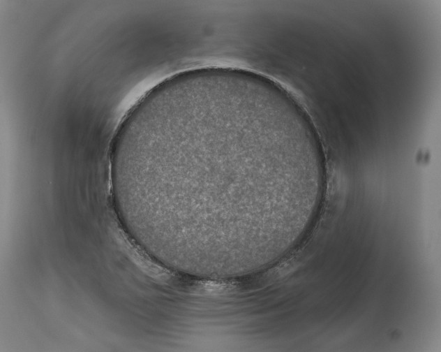 X0000115071271200911171122