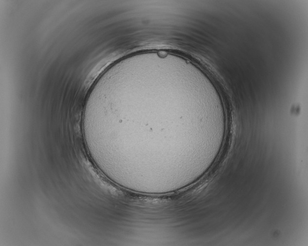 X0000115071273200911171122