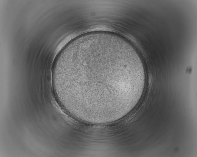 X0000115071274200911171122
