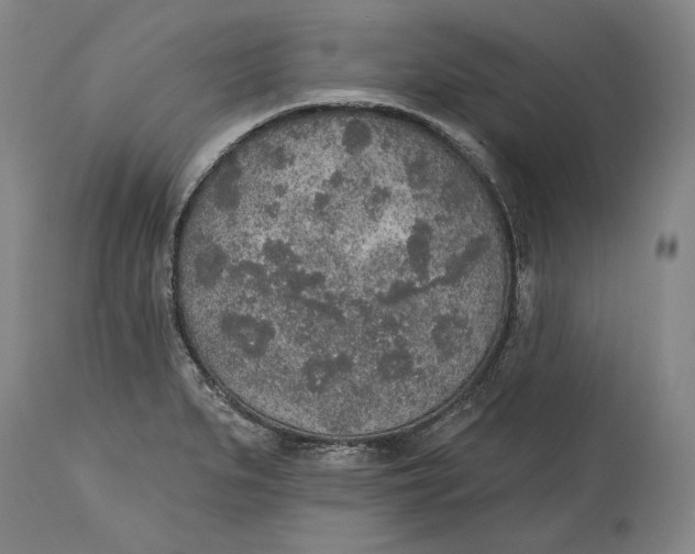X0000115071279200911171122