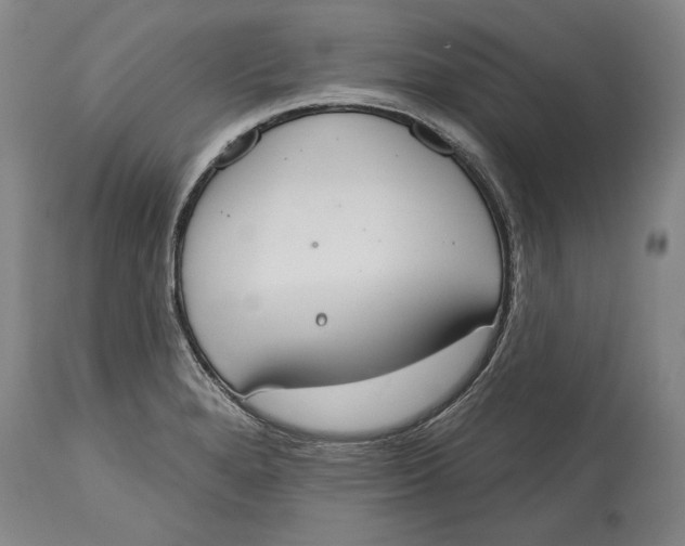 X0000115071280200911171122