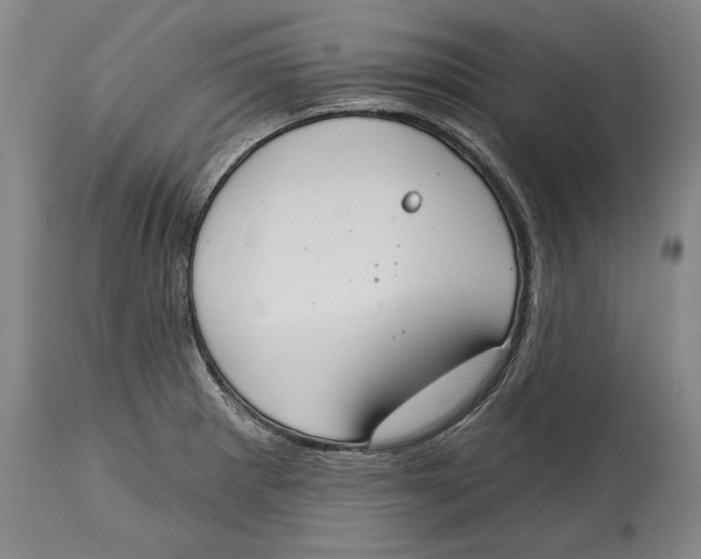 X0000115071281200911171122
