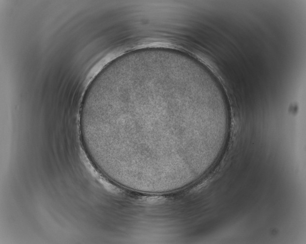 X0000115071282200911171122