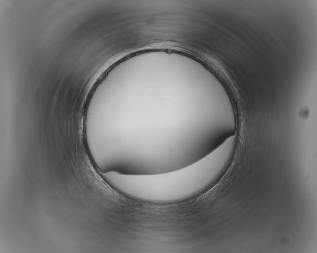 X0000115071284200911171122