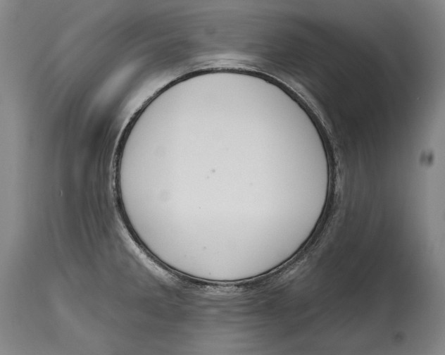 X0000115071285200911171122