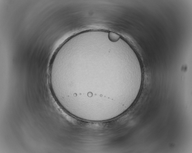 X0000115071286200911171122