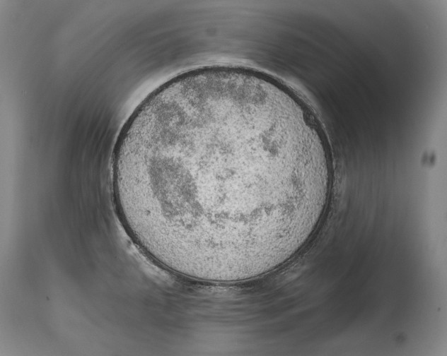 X0000115071287200911171122