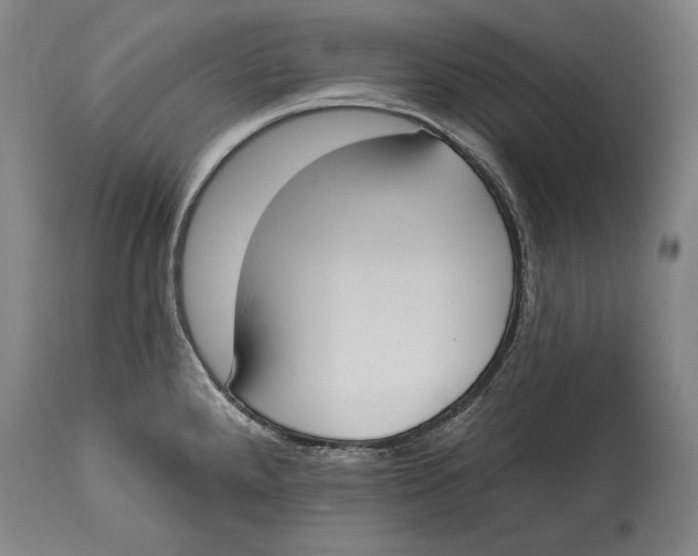 X0000115071288200911171122