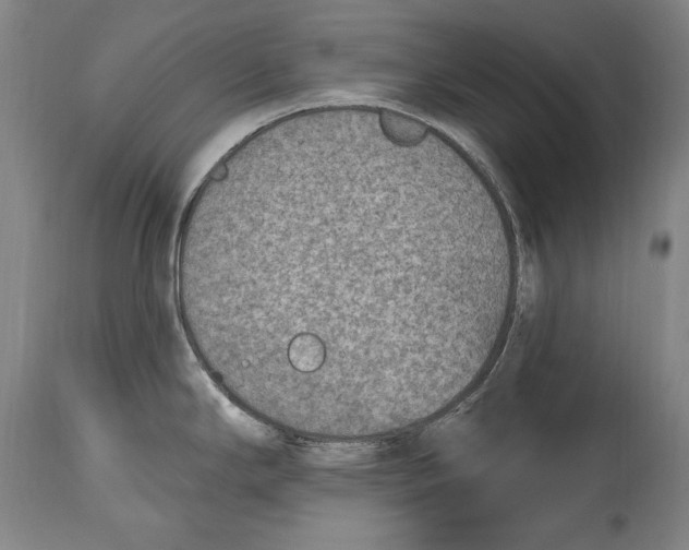 X0000115071294200911171122