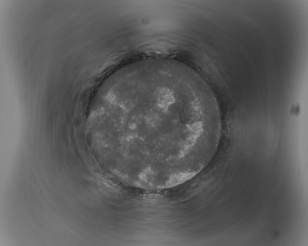X0000115071297200911171121