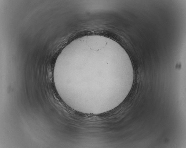X0000115071298200911171121