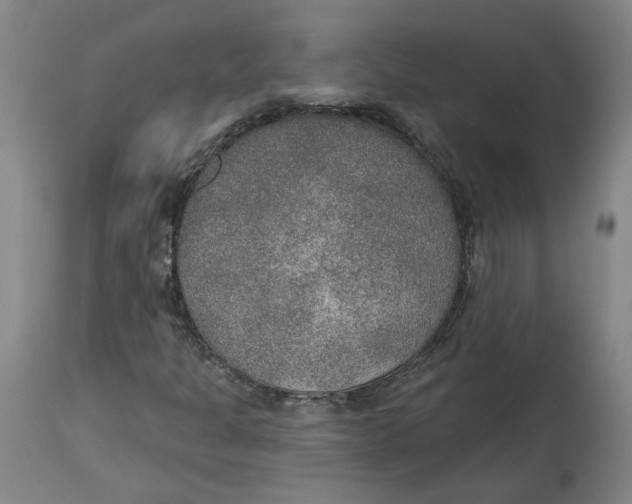 X0000115071301200911171121
