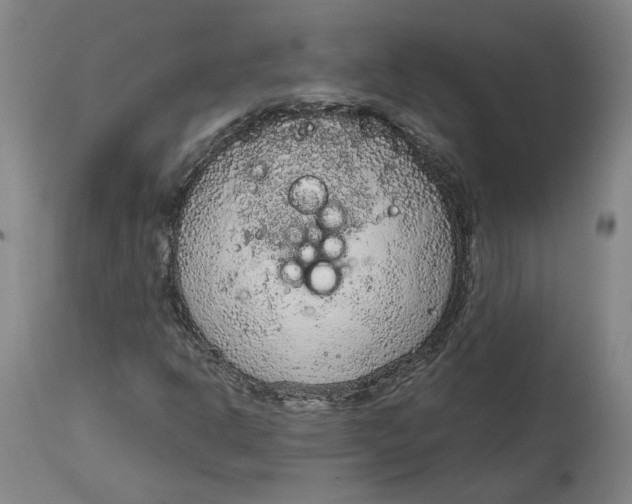 X0000115071302200911171121