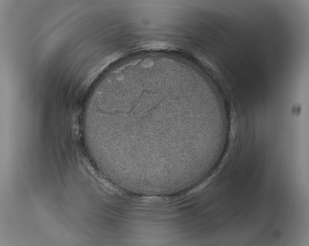 X0000115071305200911171121