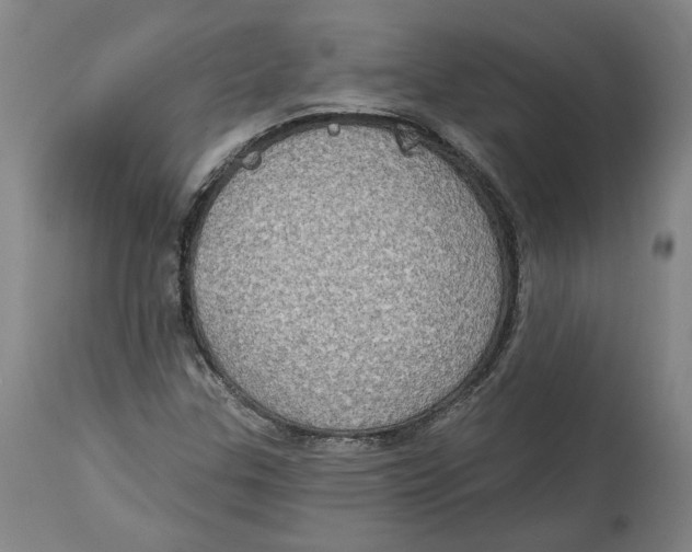 X0000115071307200911171121