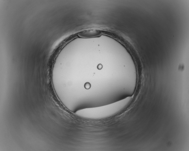 X0000115071310200911171121