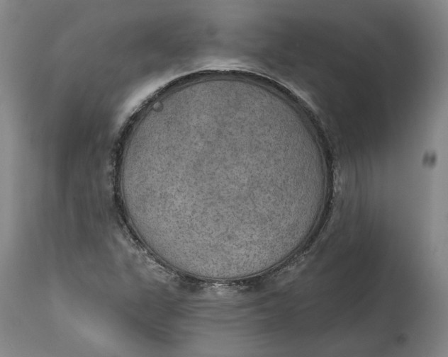 X0000115071311200911171121
