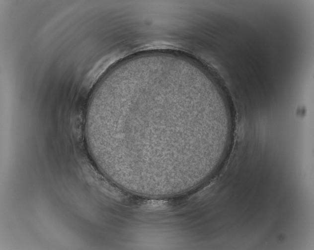X0000115071313200911171121