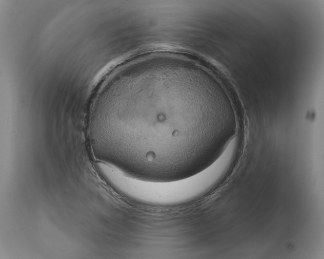 X0000115071314200911171121