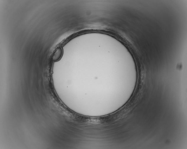 X0000115071315200911171121